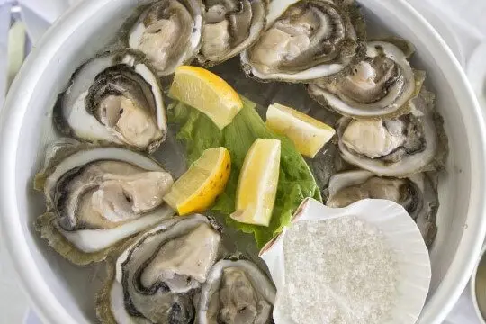 Ston Oysters - Rewind Dubrovnik - featured image