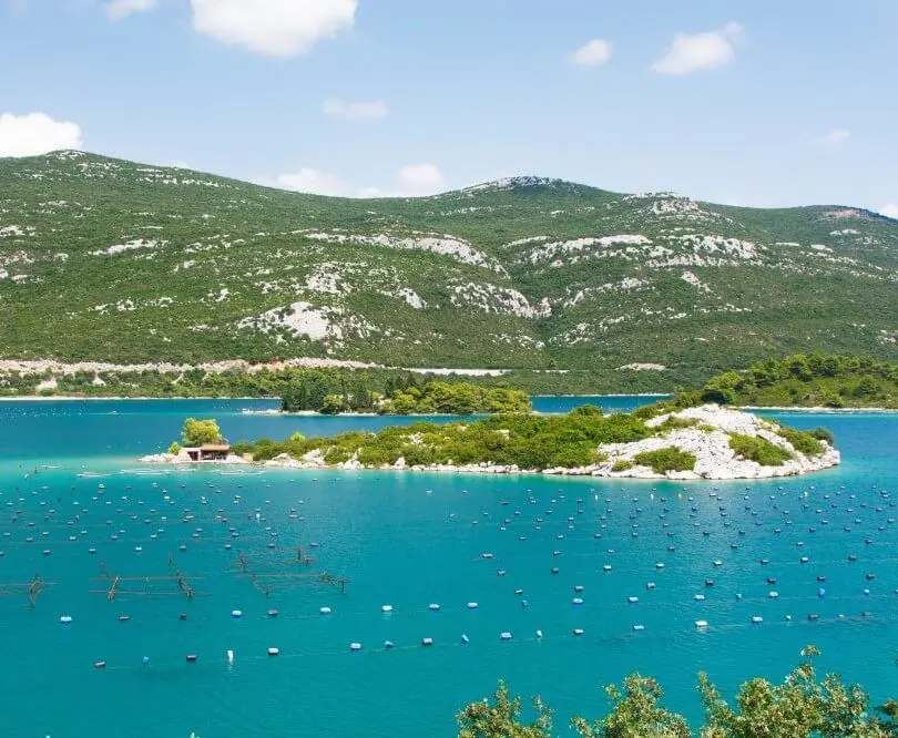 Ston Oysters - Rewind Dubrovnik - oyster farm