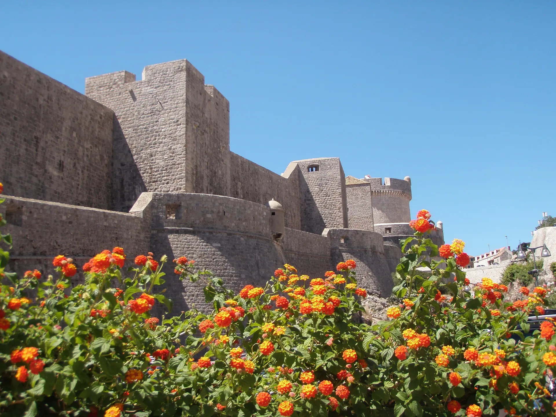 Stone fortress with towers and walls under clear blue sky, surrounded by vibrant orange and yellow flowers in the foreground. Perfect for day trips exploring Dubrovnik, or private boat tours along the stunning coastline.