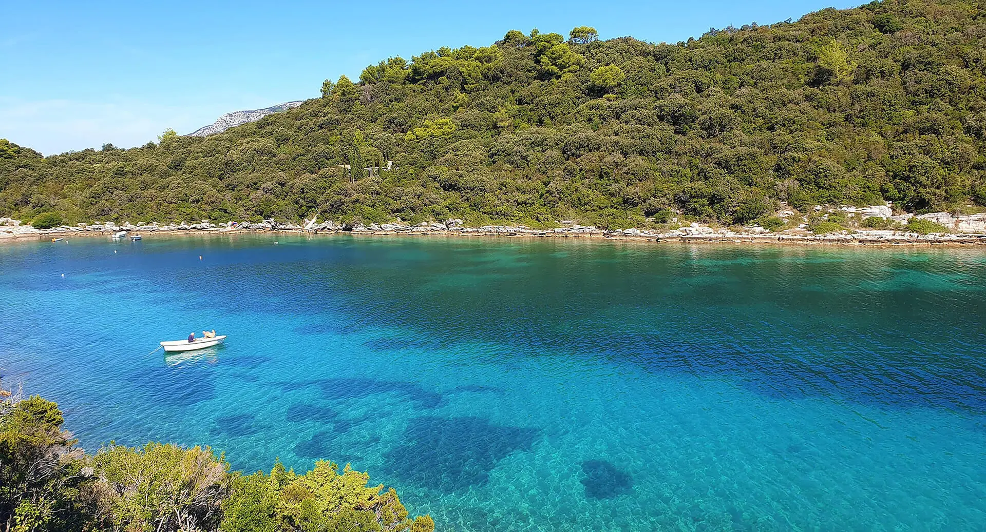 A small boat floats on clear turquoise waters near a lush, green forested shoreline under a bright blue sky—an idyllic scene perfect for private boat tours and day trips from Dubrovnik.