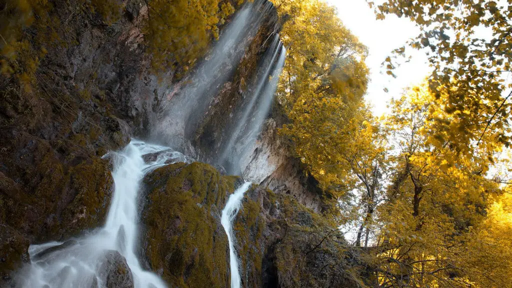 A waterfall cascades down moss-covered rocks amidst autumn foliage with yellow leaves.