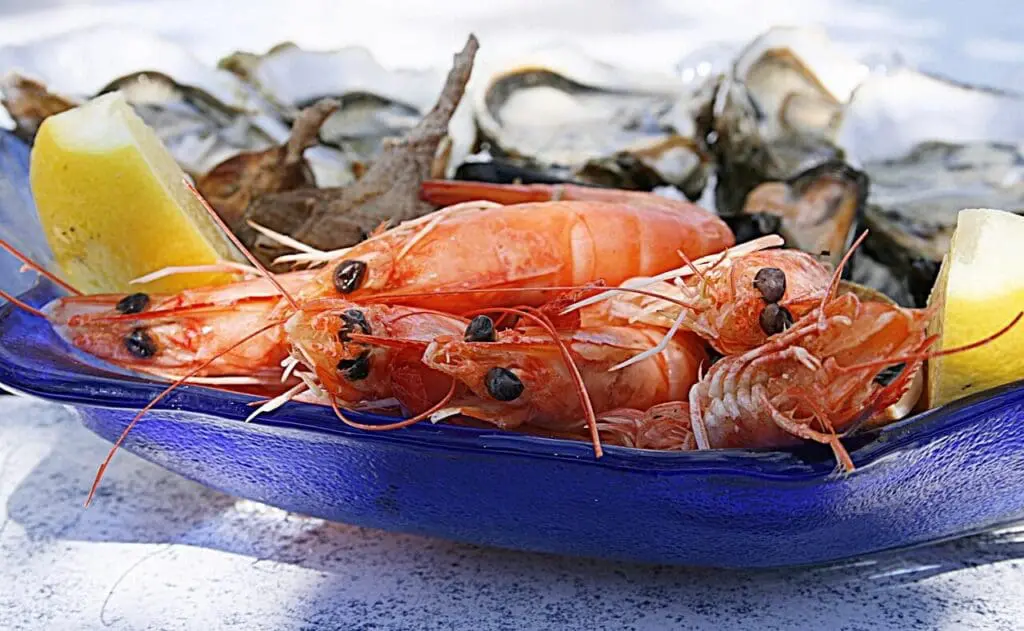 A blue plate with cooked shrimp, lemon wedges, and oysters on a white surface.