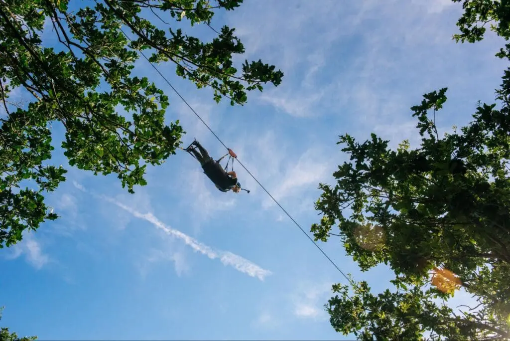 Person zip-lining between green trees under a blue sky.