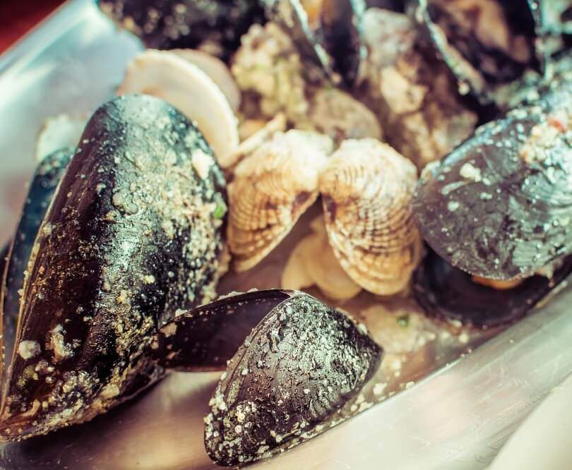 Ston Oysters - Rewind Dubrovnik - sea shells