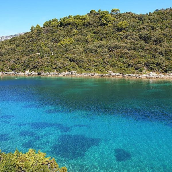 A small boat floats on clear turquoise waters near a lush, green forested shoreline under a bright blue sky—an idyllic scene perfect for private boat tours and day trips from Dubrovnik.